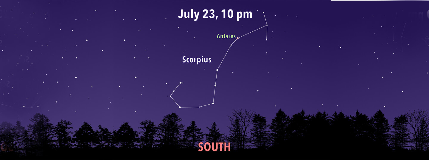 Schematic of the constellation Scorpius.