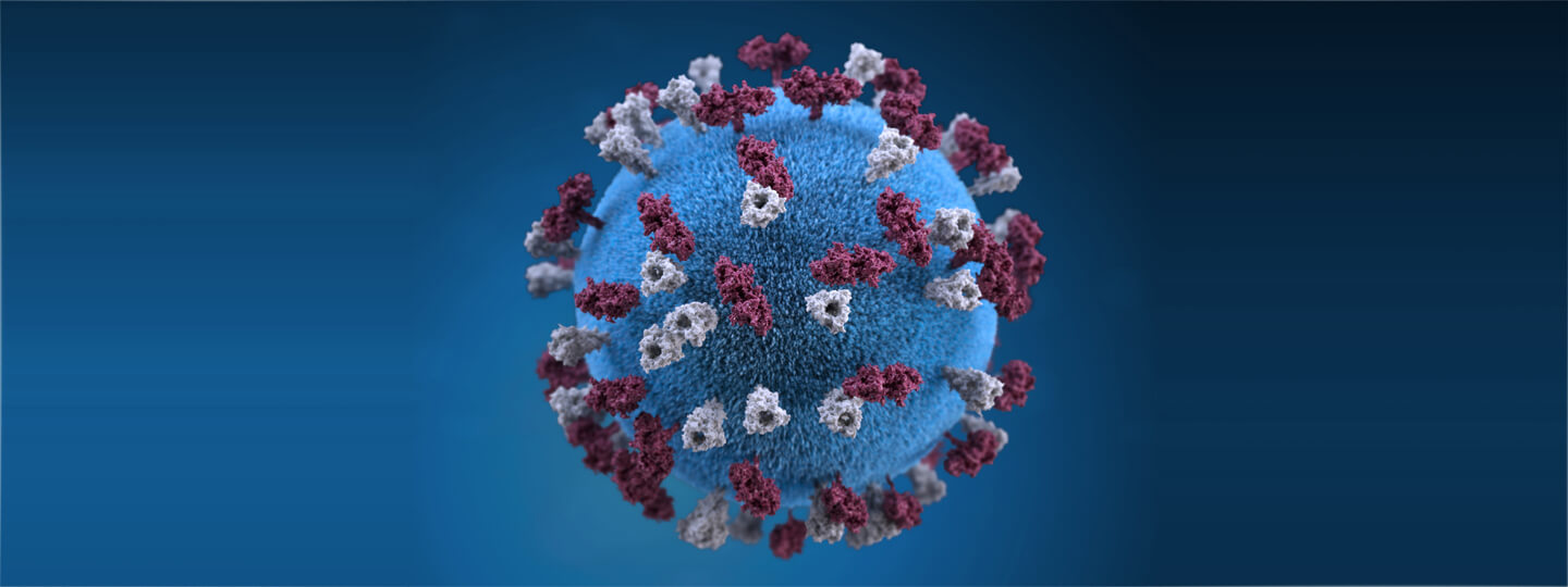 Measles virus.